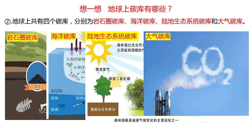 碳排放与碳减排 从认识到行动的全面解析