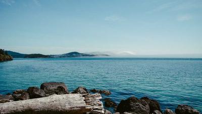 深空协奏曲 | BOSS 战连招与闪避时机